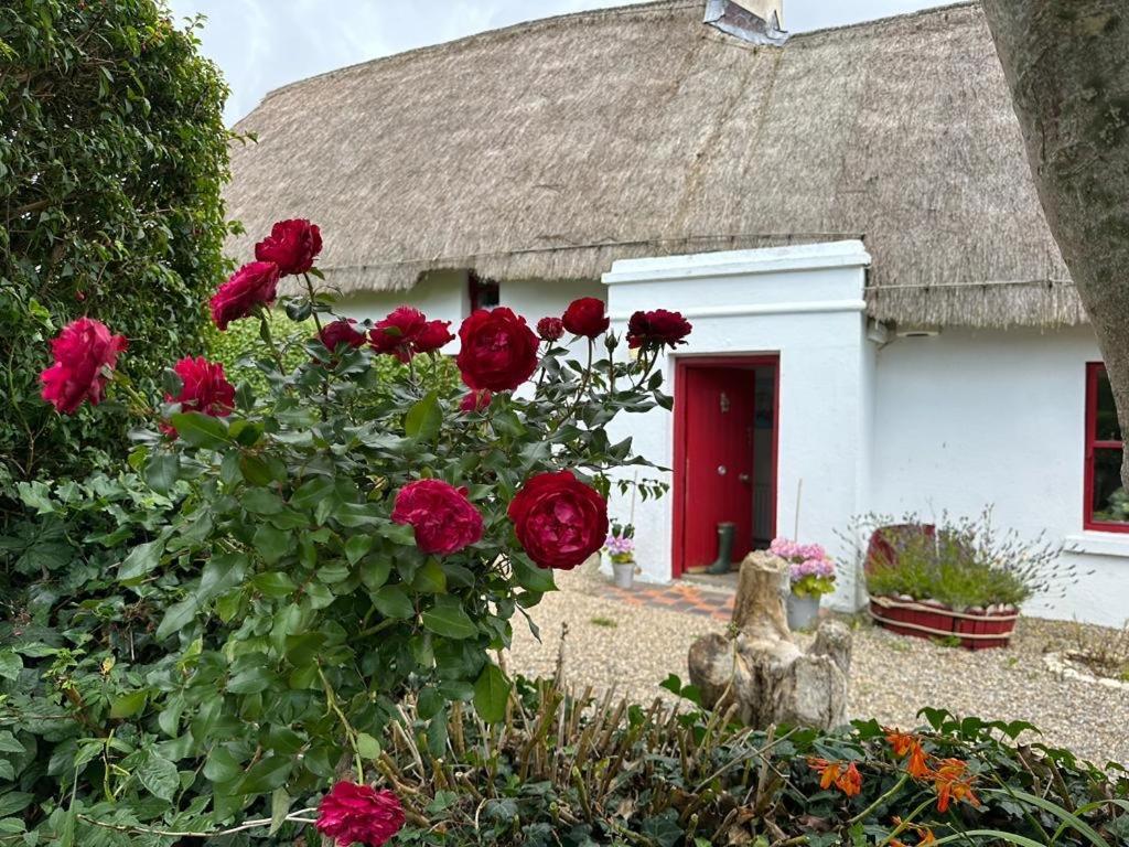 Quay House Bed & Breakfast Wexford Exterior photo